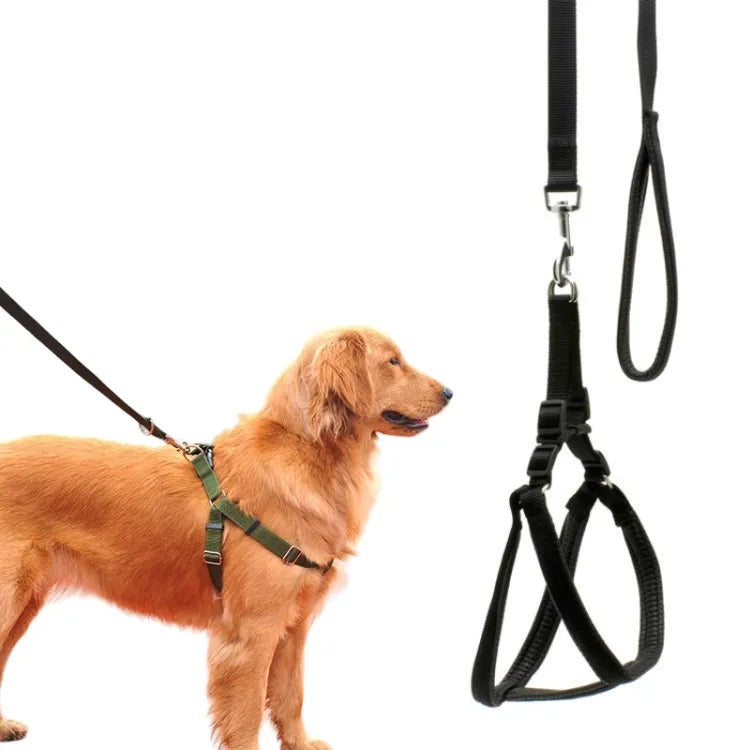 Padded Nylon Harness & Leash