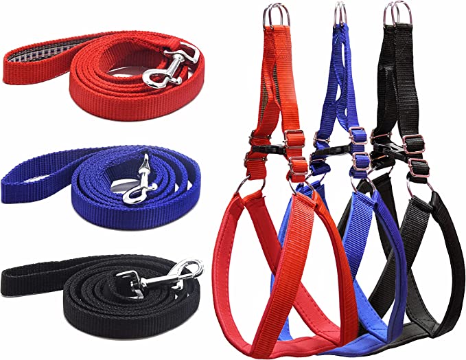 Padded Nylon Harness & Leash
