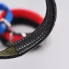 Padded Nylon Harness & Leash