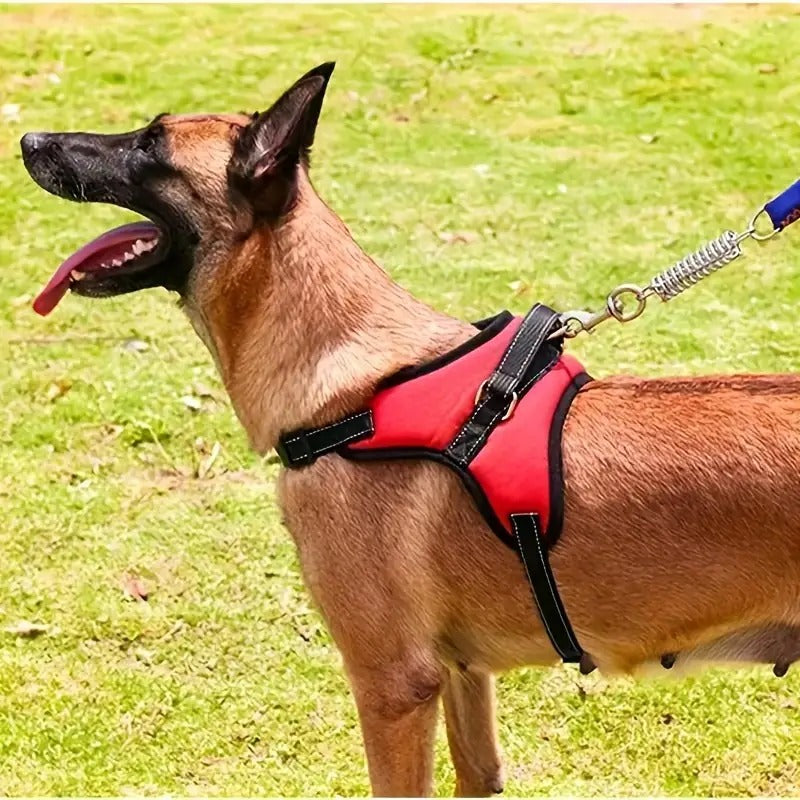Padded Dog Vest - XL