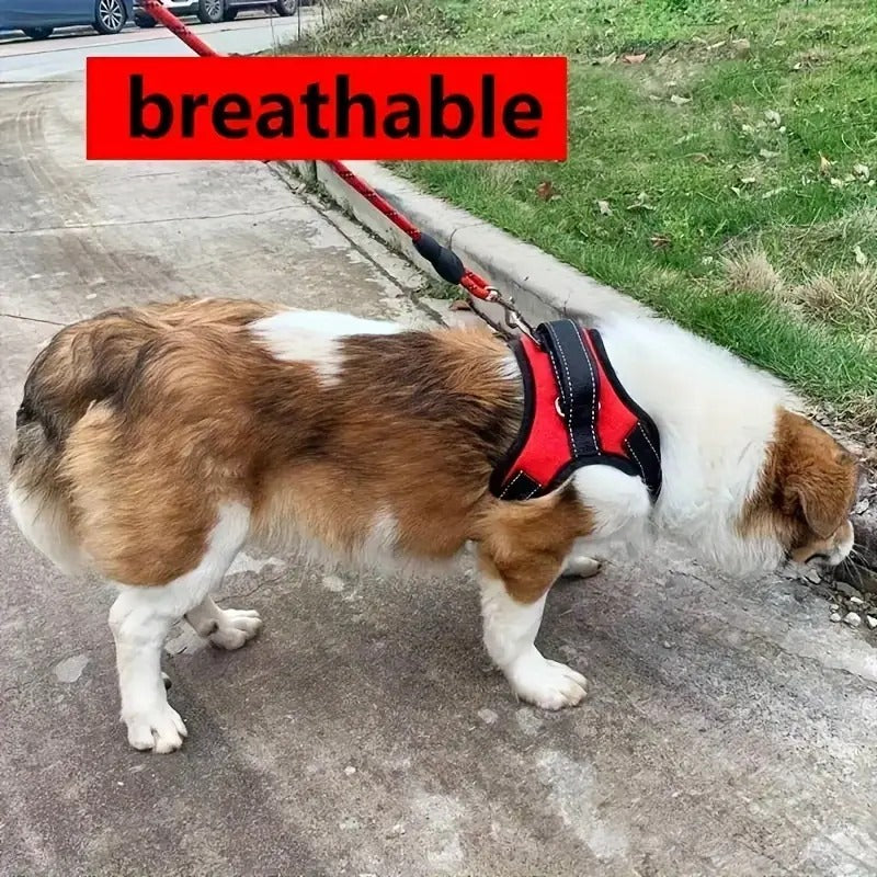 Padded Dog Vest - Medium