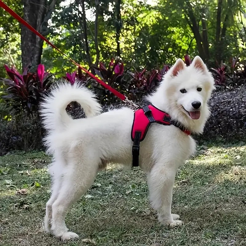 Padded Dog Vest - Large