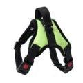 Padded Dog Vest - Large