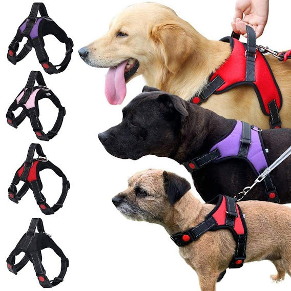 Padded Dog Vest - Large