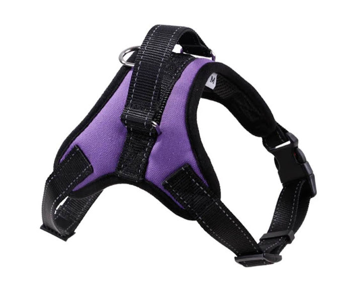 Padded Dog Vest - XL