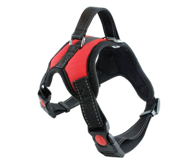 Padded Dog Vest - Large