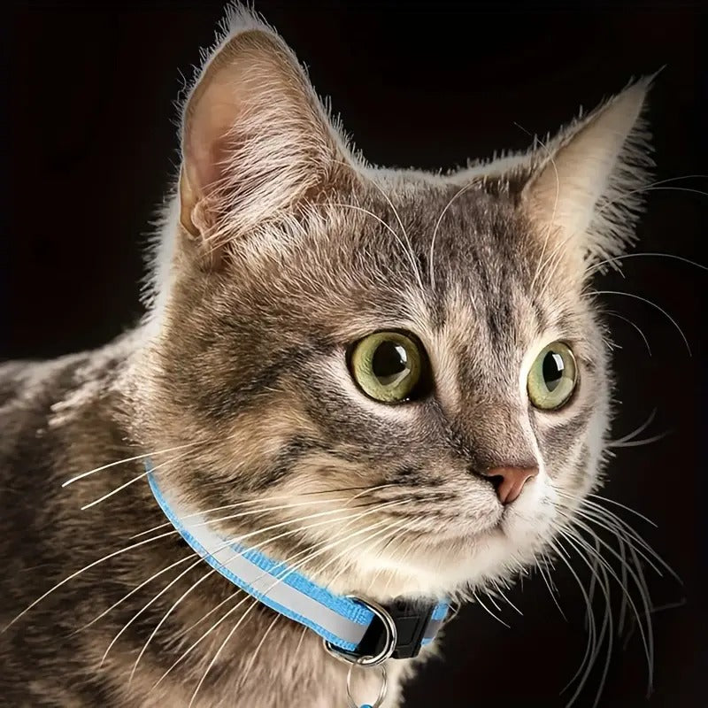 Reflective Pet Collar