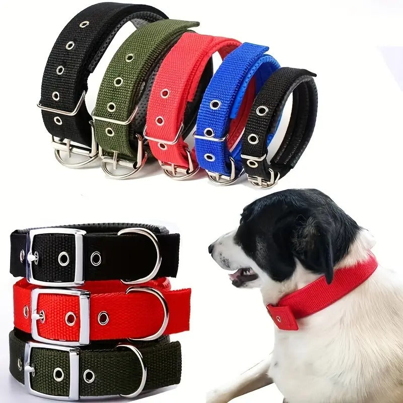 Padded Nylon Pet Collar