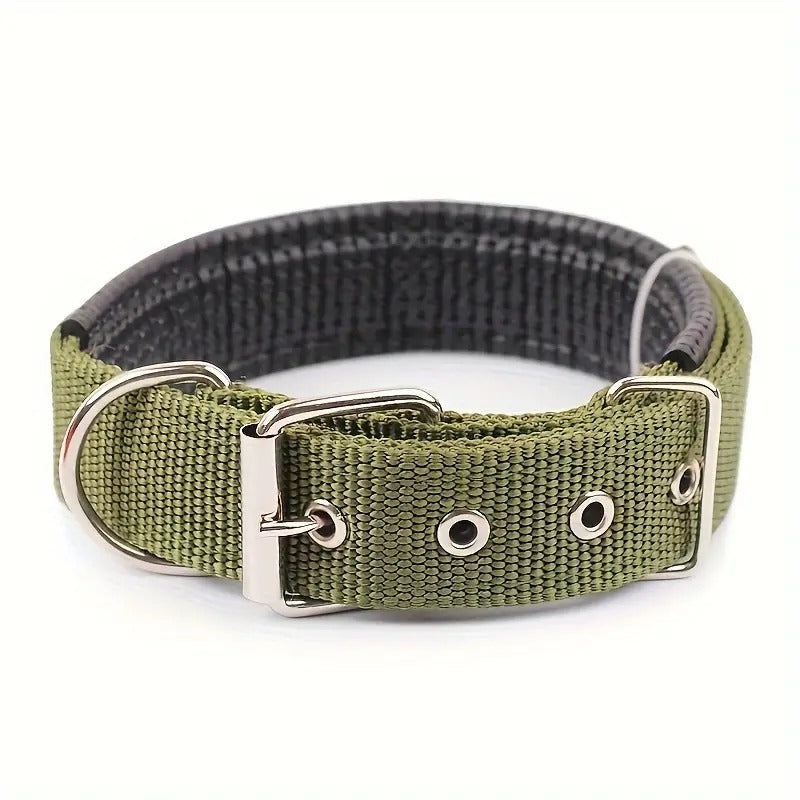 Padded Nylon Pet Collar