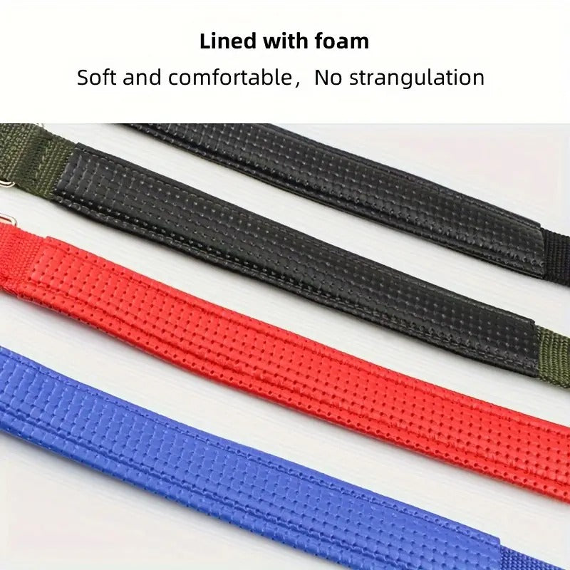 Padded Nylon Pet Collar