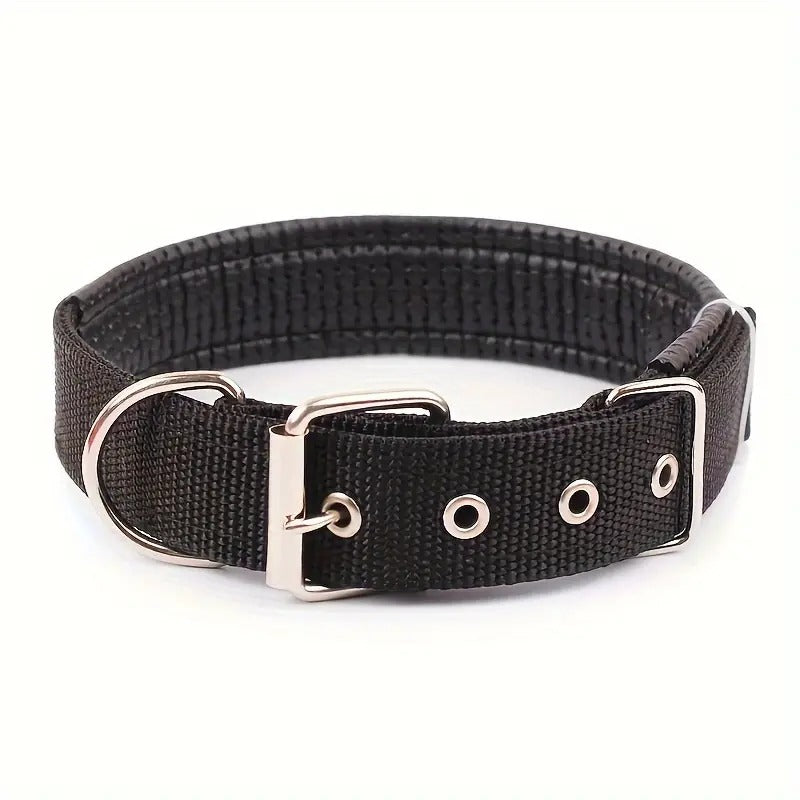 Padded Nylon Pet Collar