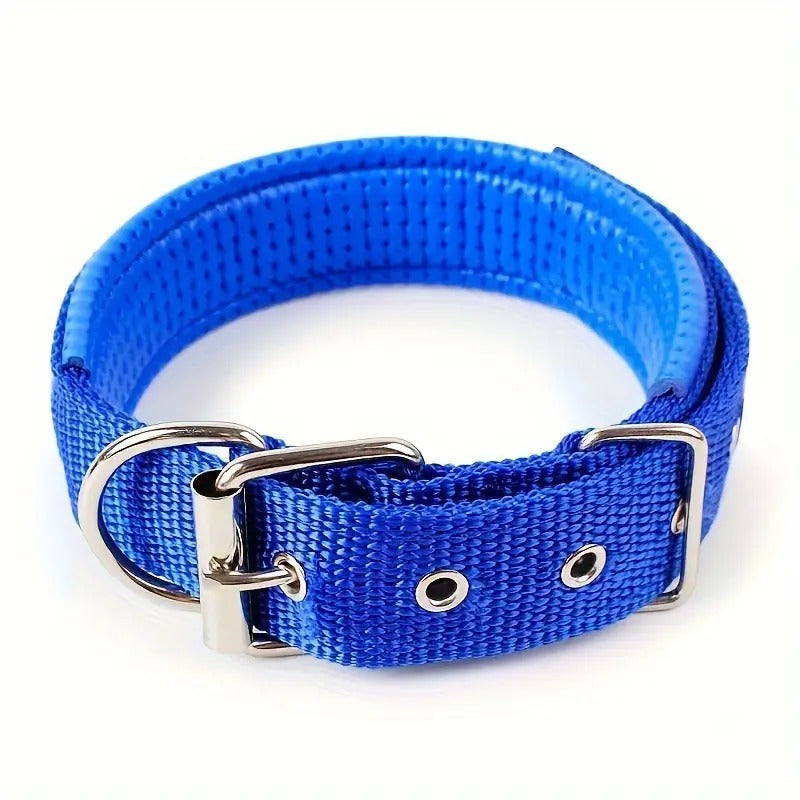 Padded Nylon Pet Collar