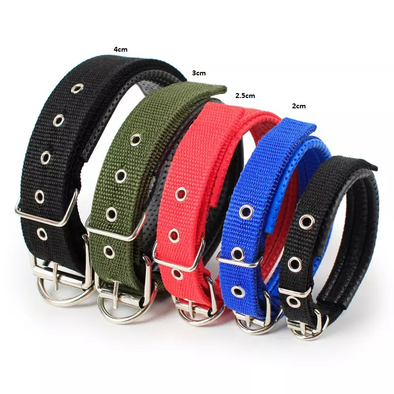 Padded Nylon Pet Collar