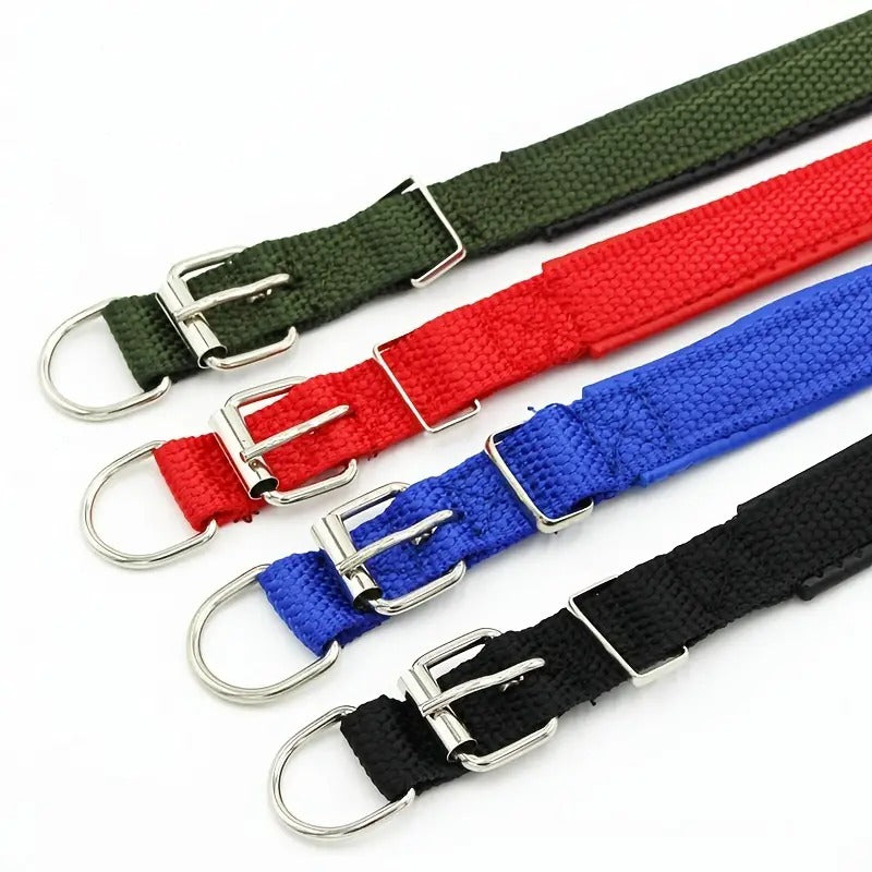 Padded Nylon Pet Collar
