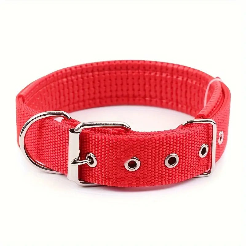 Padded Nylon Pet Collar