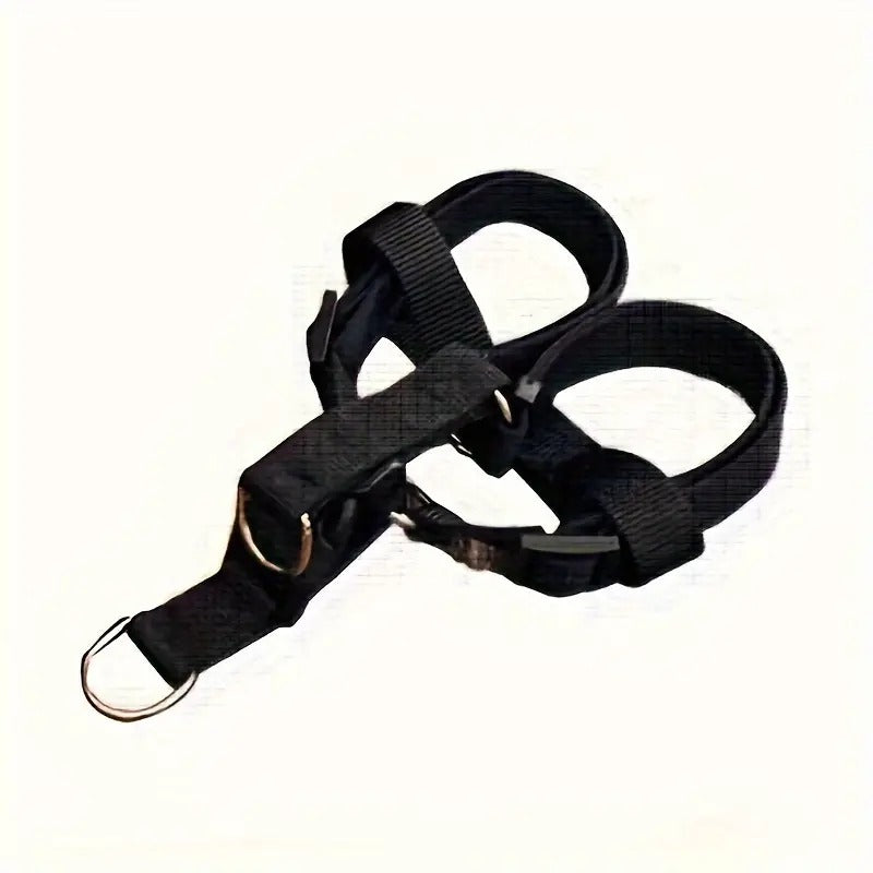 Padded Nylon Harness & Leash