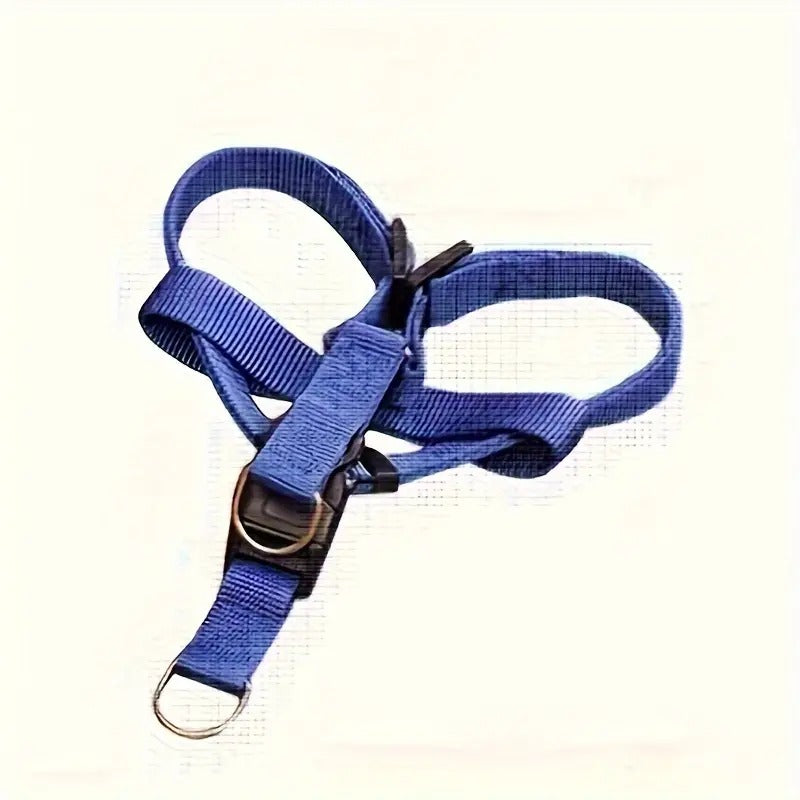 Padded Nylon Harness & Leash
