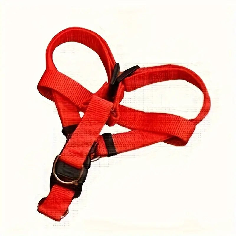 Padded Nylon Harness & Leash