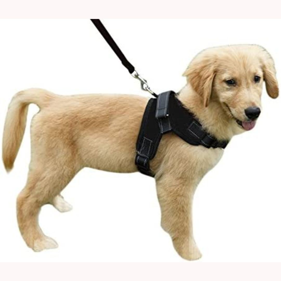 Padded Pet Vest - XS