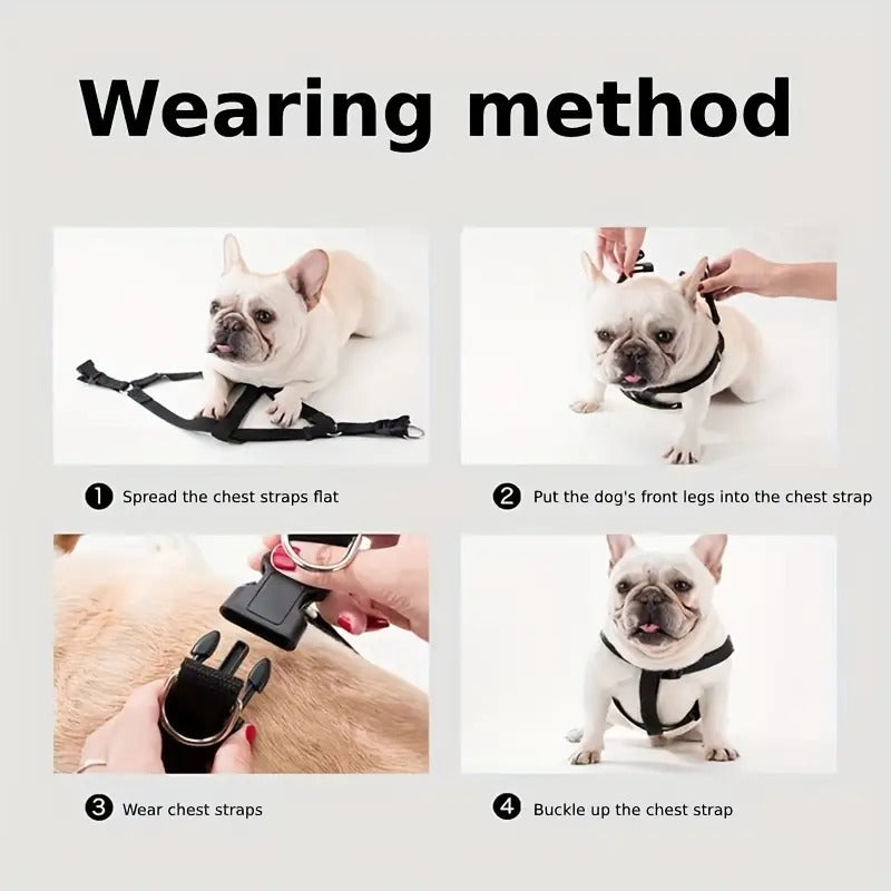 Padded Nylon Harness & Leash