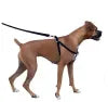 Padded Nylon Harness & Leash