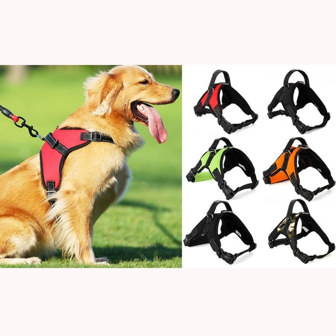 Padded Dog Vest - Medium